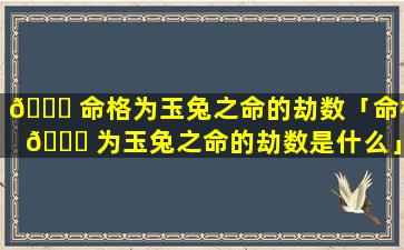 🐋 命格为玉兔之命的劫数「命格 🐝 为玉兔之命的劫数是什么」